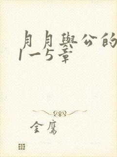 月月与公的激情1一5章