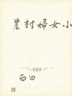 农村妇女小说封面