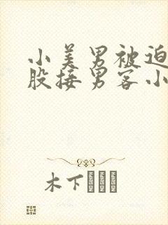 小美男被迫卖屁股接男客小说