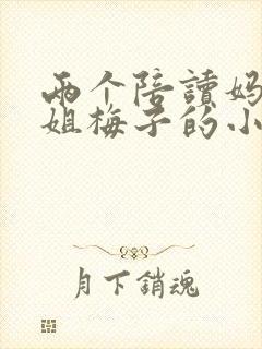 两个陪读妈妈赵姐梅子的小说封面