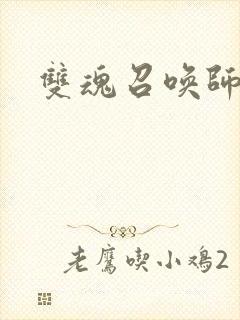 双魂召唤师封面