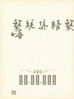 系统集精系统高嗨