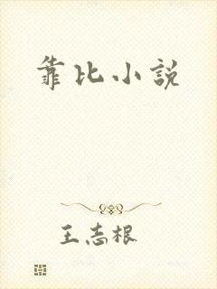 靠比小说封面