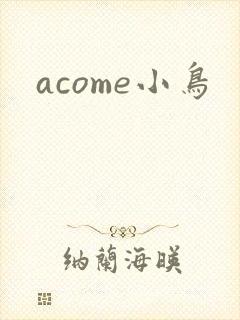 acome小鸟