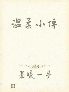 温柔小传