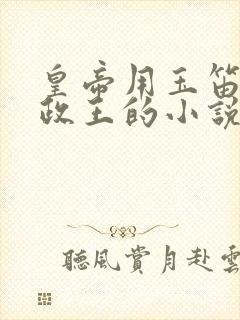 皇帝用玉笛整摄政王的小说