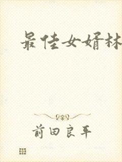 最佳女婿林凡封面