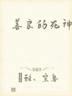 善良的死神小说