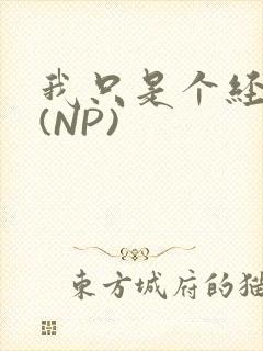 我只是个经纪人(NP)