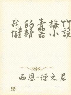 我的青梅竹马是储精器小说