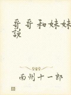 哥哥和妹妹的小说