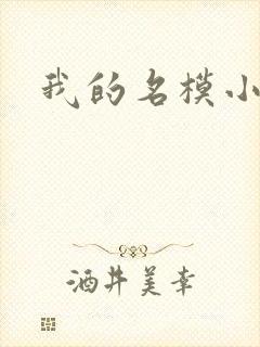 我的名模小娇妻