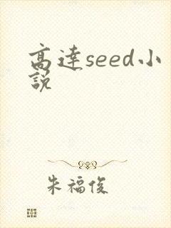 高达seed小说