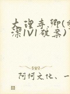 大理寺.卿(双洁1V1破案)