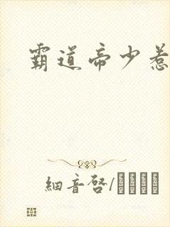 霸道帝少惹不得封面