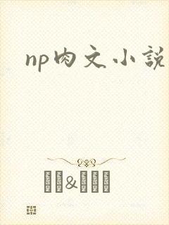np肉文小说