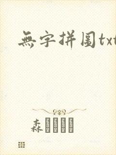 无字拼图txt封面