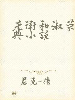 老卫和淑荣的经典小说封面