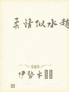 柔情似水赵雅儿