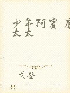 少年阿宾 房东太太封面