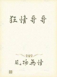 狂情哥哥封面