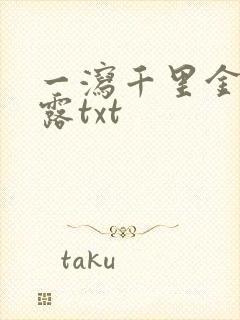 一泻千里金银花露txt