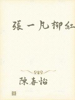 张一凡柳红