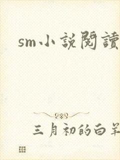sm小说阅读