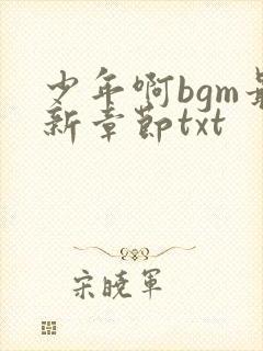少年啊bgm最新章节txt