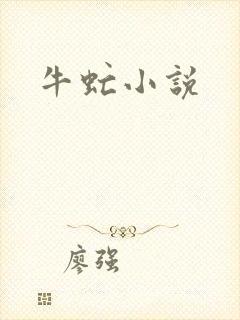 牛虻小说