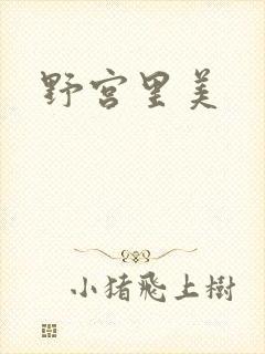 野宫里美封面
