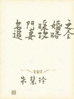 名门暖婚之权爷追妻攻略全文免费阅读封面