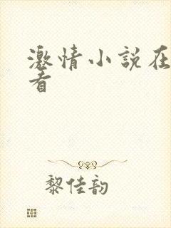 激情小说在线观看