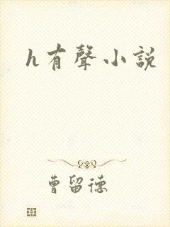 h有声小说封面
