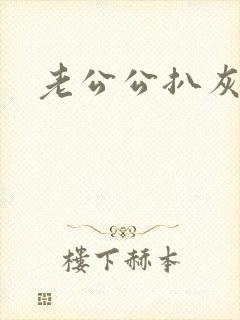 老公公扒灰小说