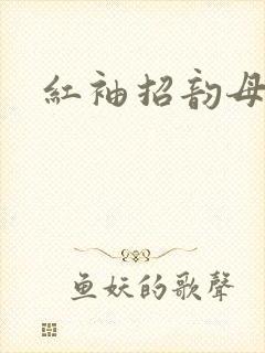 红袖招韵母攻略