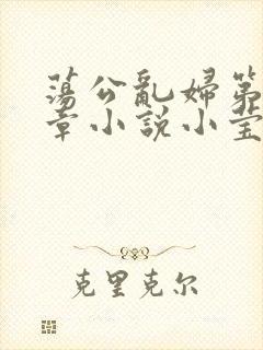 荡公乱妇第51章小说小莹