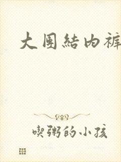 大团结内裤奇缘封面