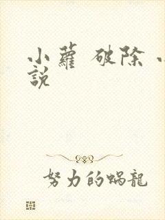 小萝 破除 小说