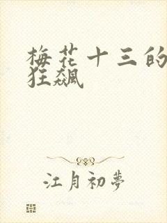 梅花十三的乳液狂飙