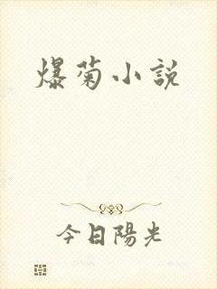 爆菊小说封面