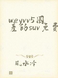 weyvv5国产的suv免费