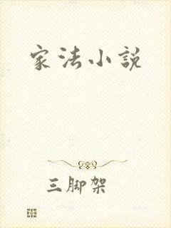 家法小说