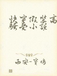 快穿假装高冷的骚受小说