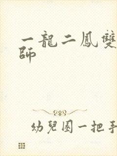 一龙二凤双飞老师封面
