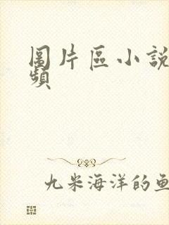 图片区小说区视频封面