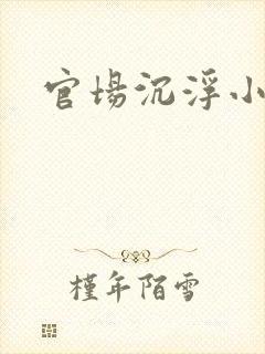 官场沉浮小说封面