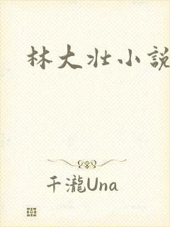 林大壮小说阅读