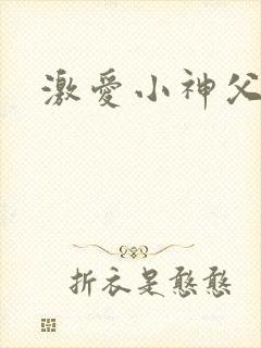 激爱小神父封面