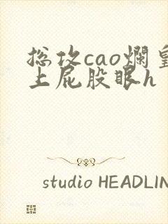 总攻cao烂皇上屁股眼h